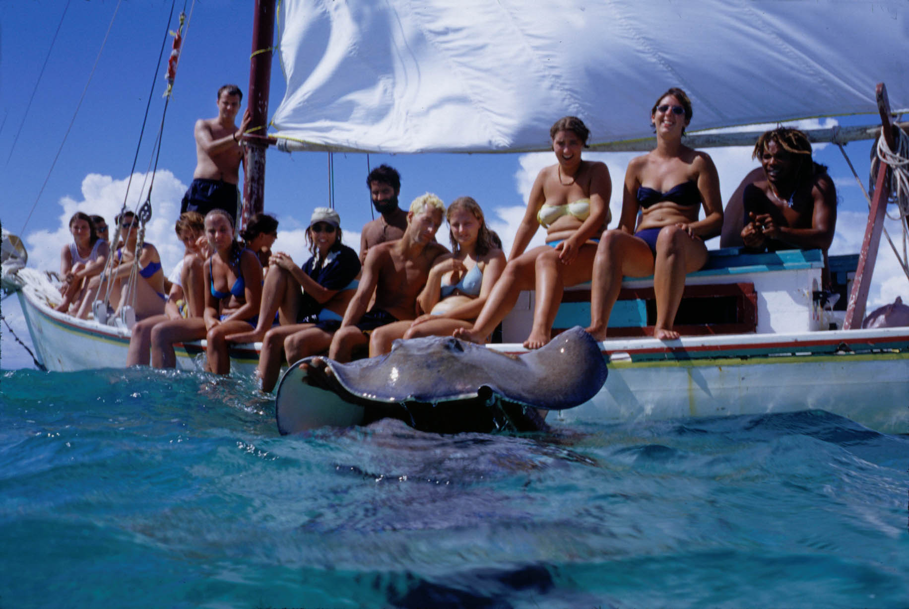 boat_ray
