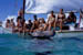 boat_ray