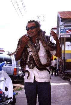 snakeguy